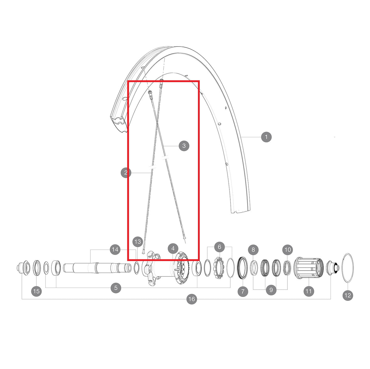 Kit 12 Raypns Ar MAVIC COSMIC PRO CARBON 277mm