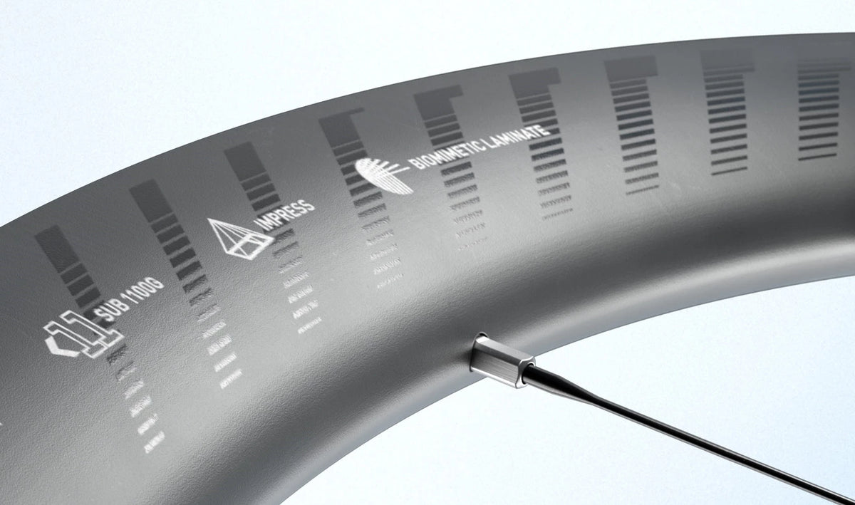 Roue Arrière ZIPP 202 NSW A1 Tubeless Ready (Center Lock)
