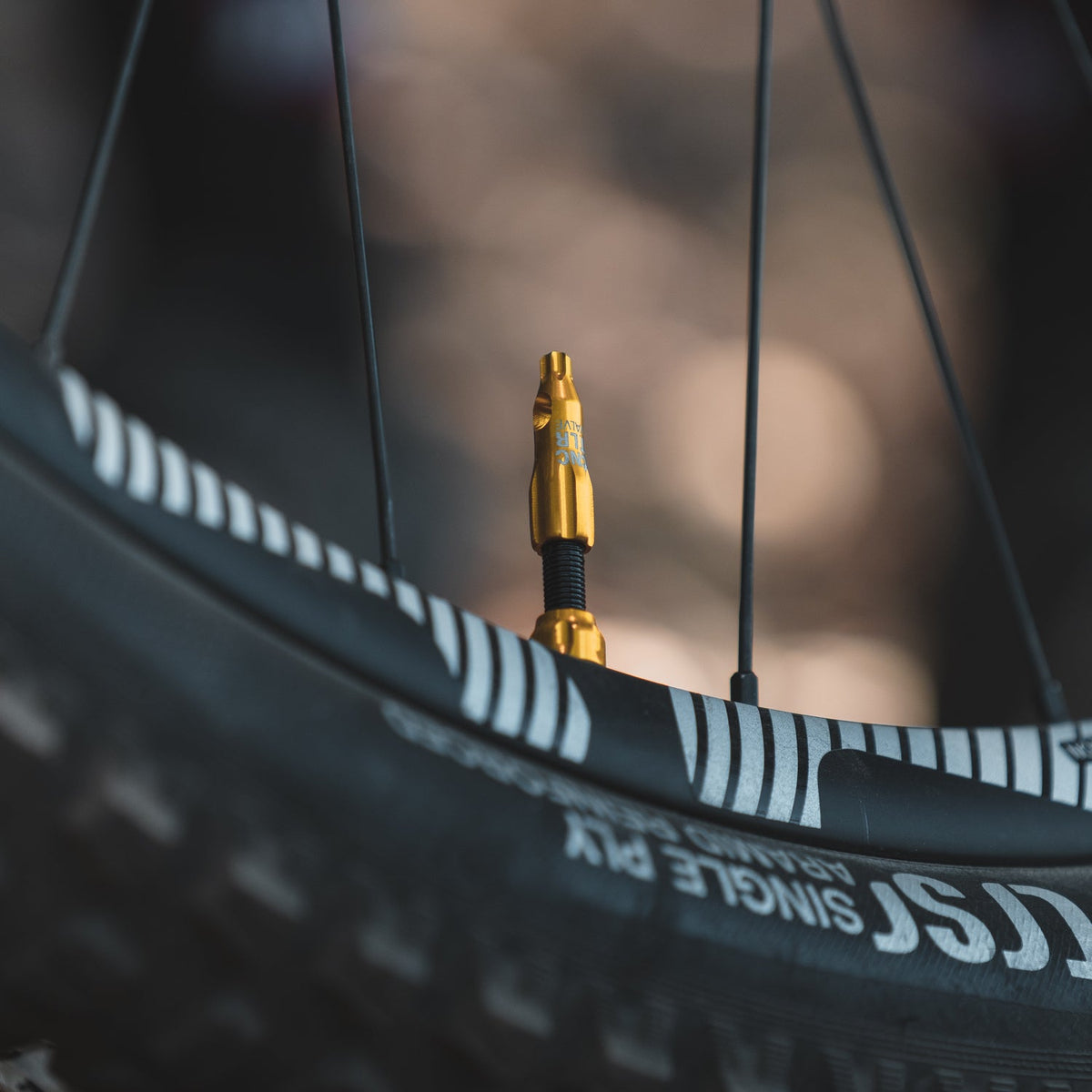 Capuchon de Valve LEZYNE CNC Noir