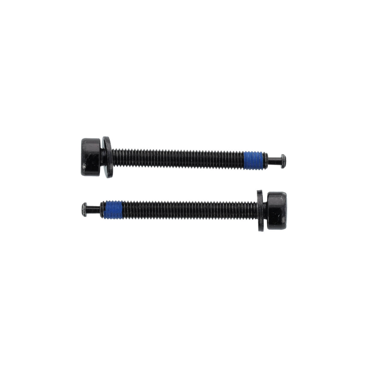 Vis de Fixation Etrier Arrière ELVEDES FM Shimano M5x48 Type C
