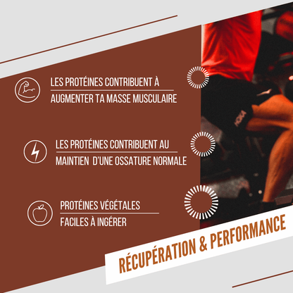 Barre Protéinée BAOUW BIO EXTRA Caramel/Pécan (50g)