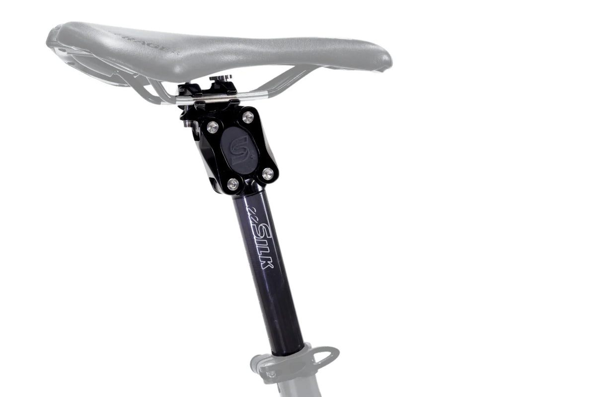 Tige de Selle Suspendue CANE CREEK EESILK + CARBON 35 mm