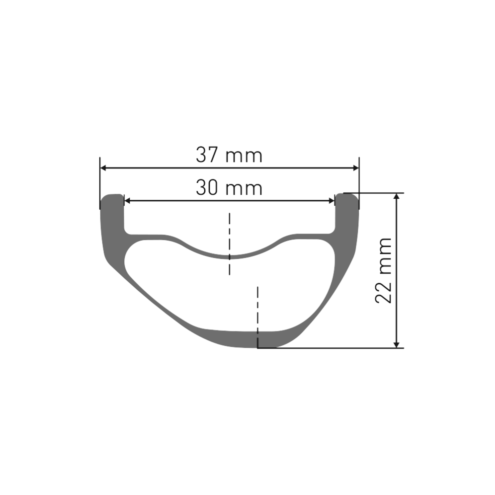 Roue Avant DT SWISS EXC 1200 CLASSIC 30 mm 29" 20x110 mm