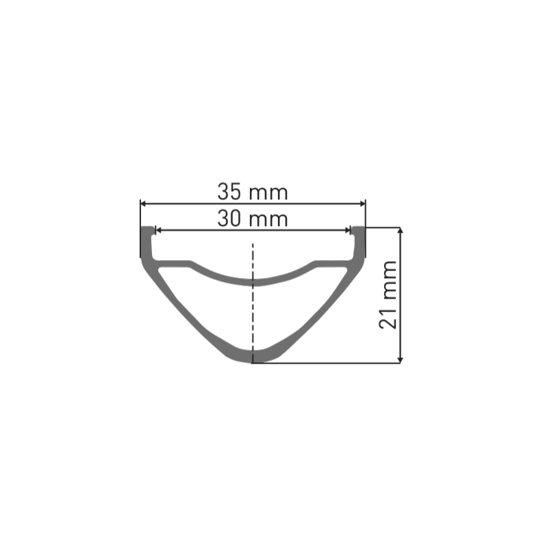 Jante DT SWISS FR 541 29'' 30 mm Argent