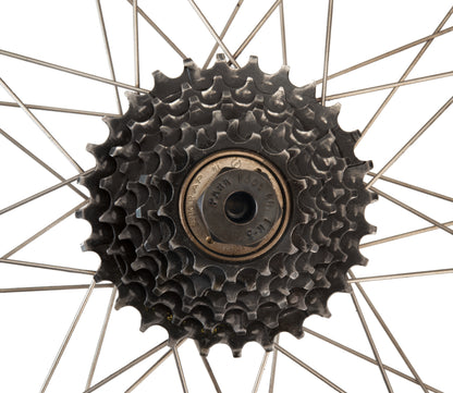 Park Tool FR-3 inséré dans une roue libre Suntour