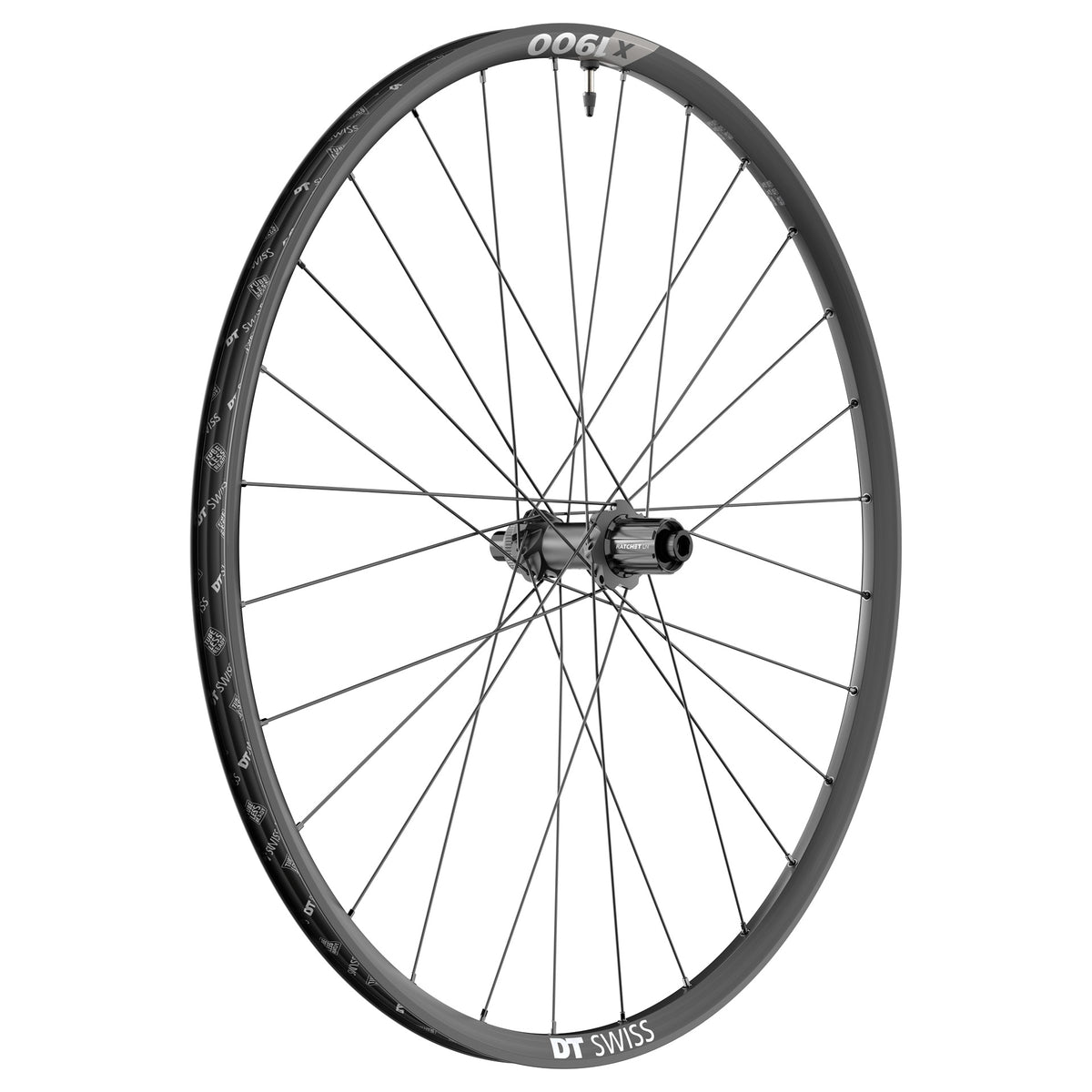 Roue Arrière DT SWISS X 1900 SPLINE 25 mm 29" 12x148 mm