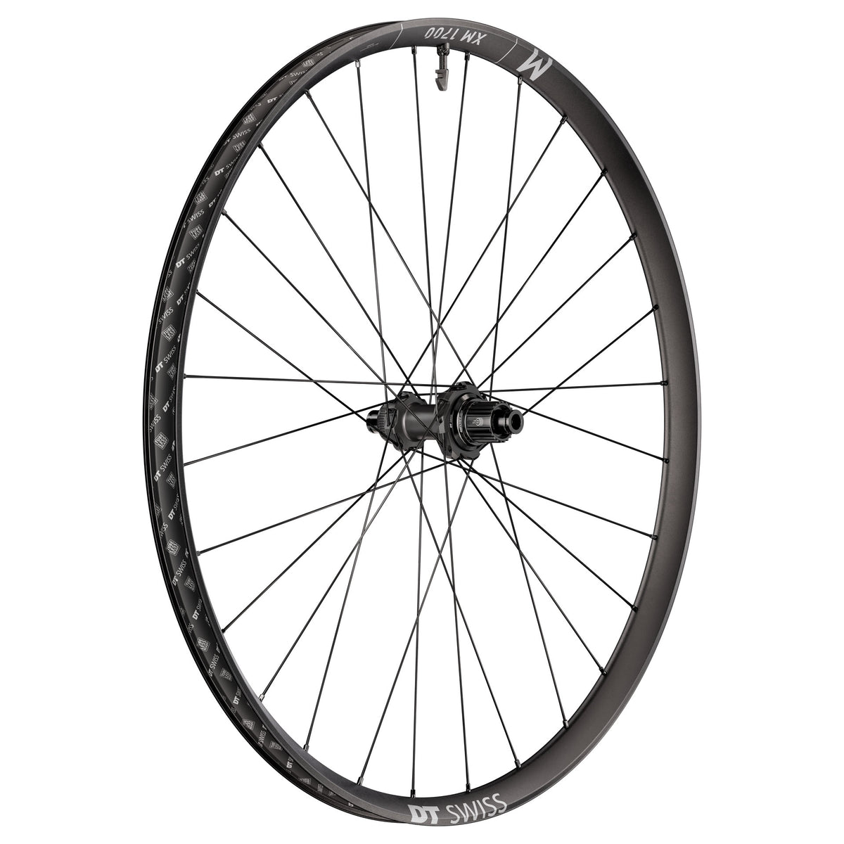 Paire de Roues DT SWISS XM 1700 SPLINE 30 mm 29" 15x110/12x148mm Boost 2026