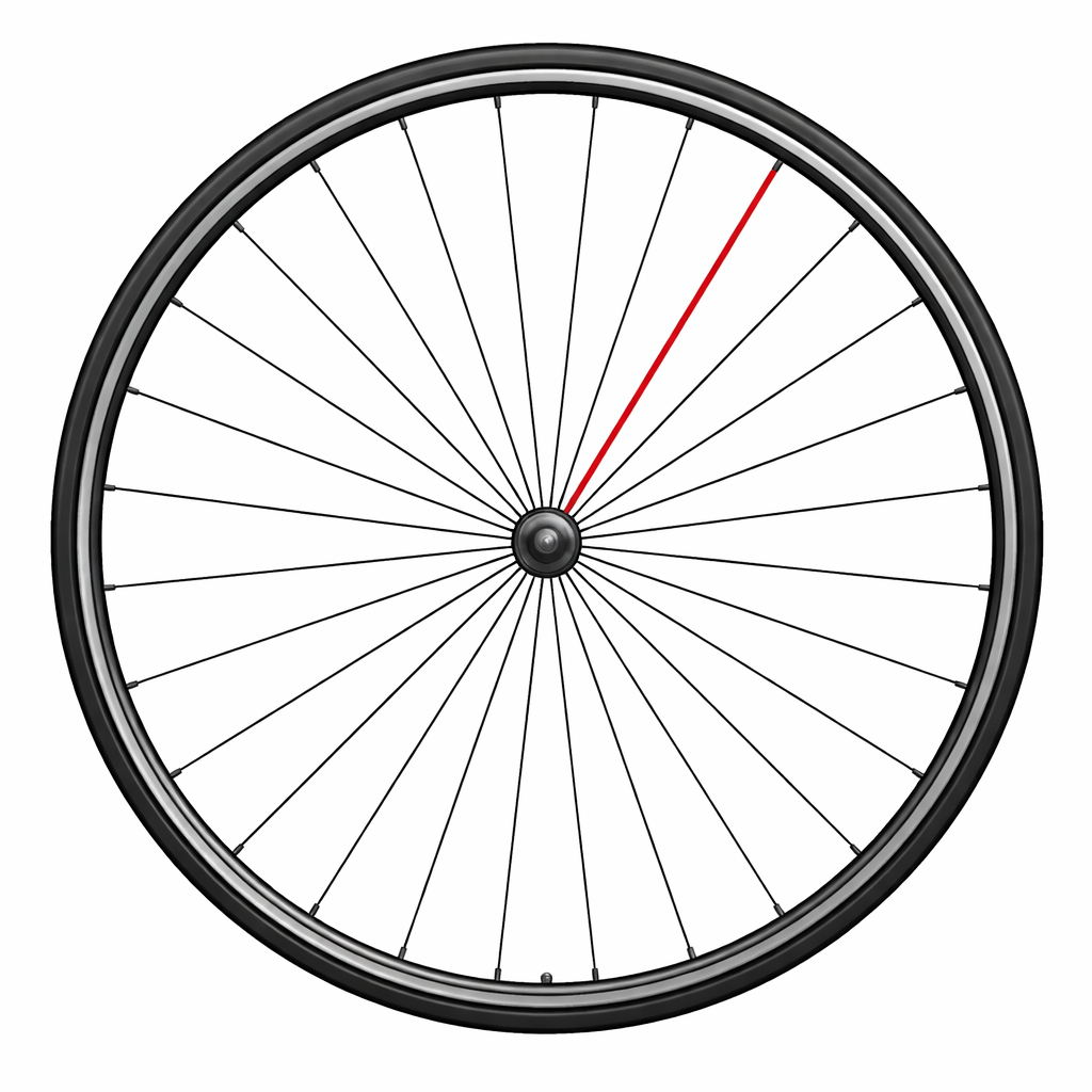 Rayon CAMPAGNOLO SHAMAL ULTRA Arrière Gauche 2010-2016 276.5mm (x1)