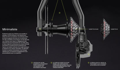 Dérailleur  Arrière SRAM XX DH T-TYPE EAGLE AXS 7V