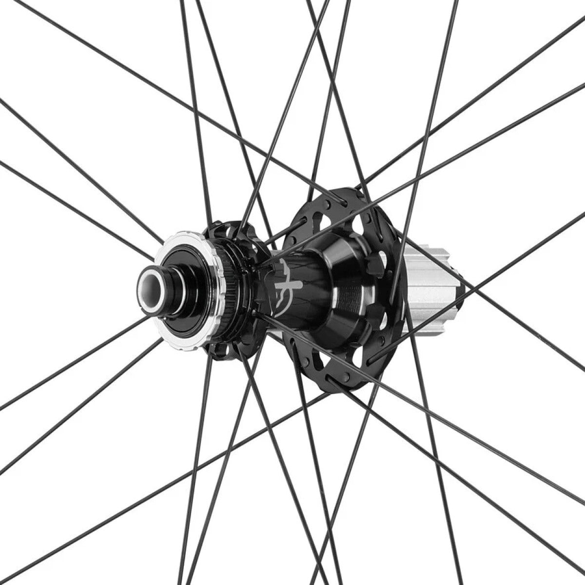 Roue arrière CAMPAGNOLO SHAMAL DISC Tubeless Ready (Center Lock)