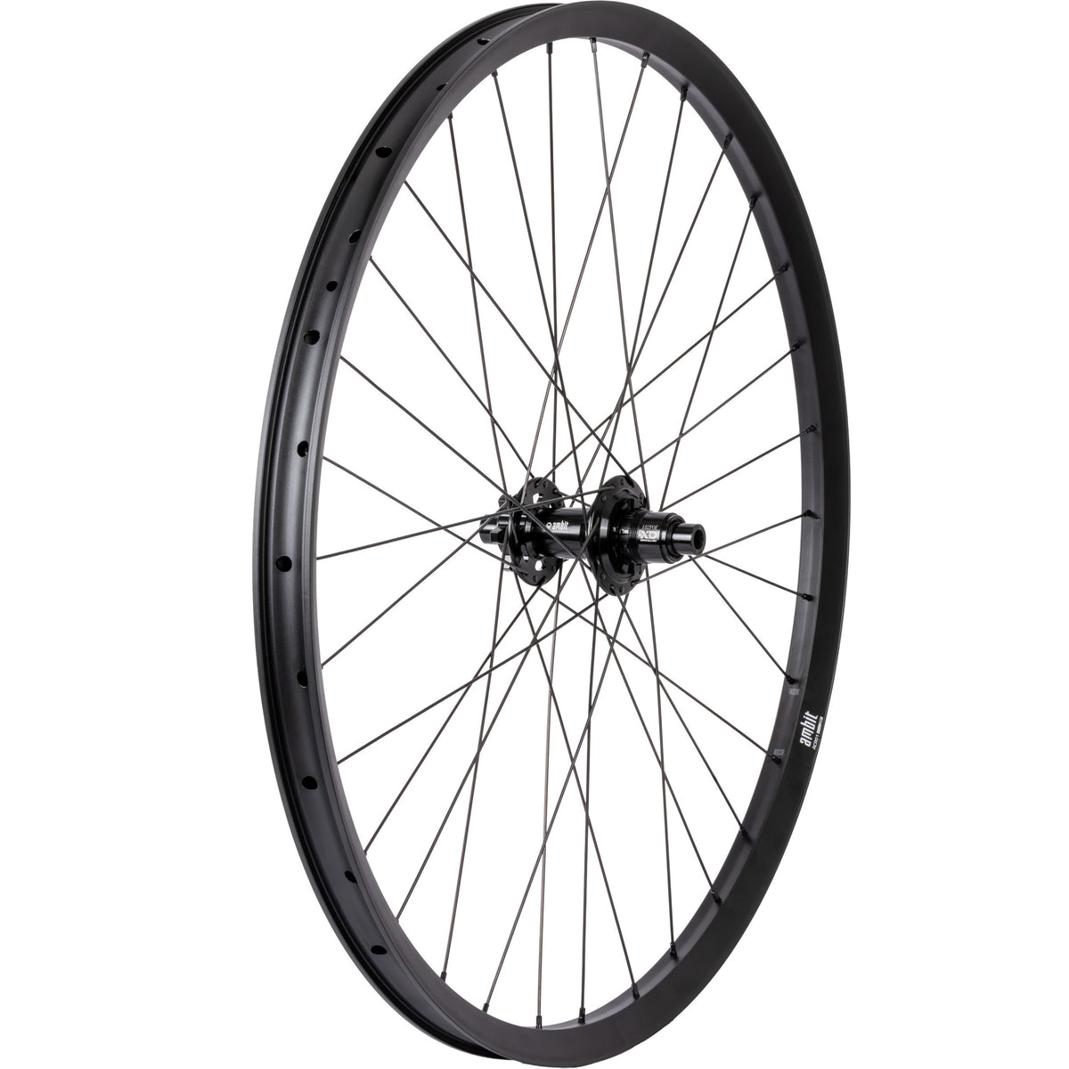 Roue Arrière AMBIT REALM 29" 12x148mm Boost POE 102