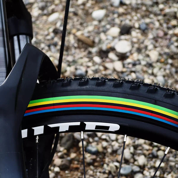 Pneu VITTORIA BARZO XC 29x2.25 "UCI Rainbow Edition" Tubeless Ready Souple Noir