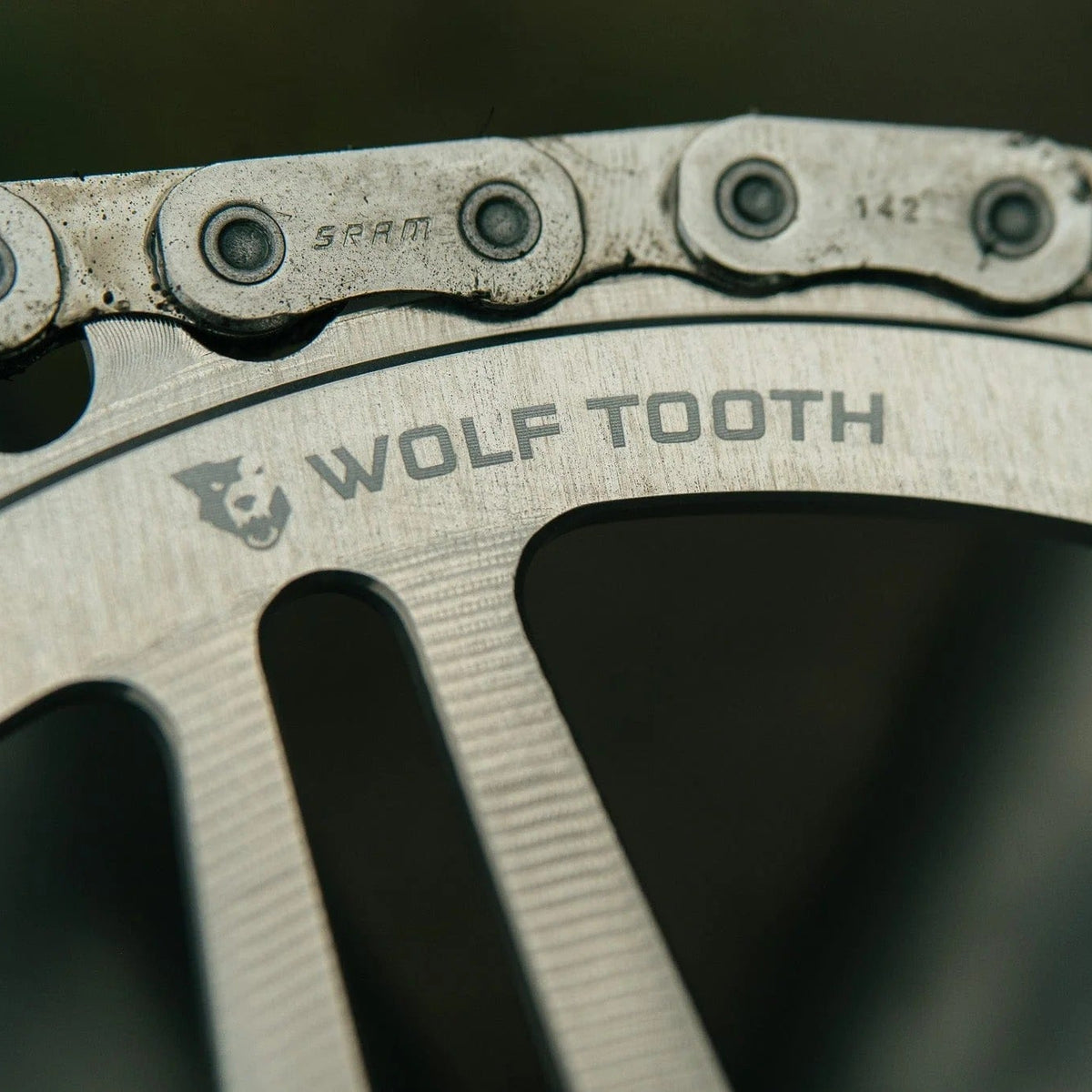 Plateau Mono WOLF TOOTH DROP-STOP B GRAVEL DM 8 Vis Sram Raw Silver