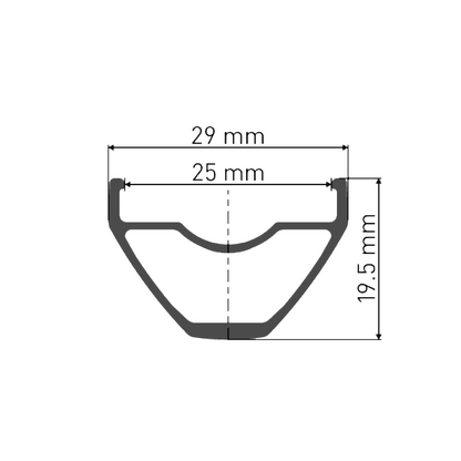 Paire de Roues DT SWISS X 1900 SPLINE 25 mm 29" 15x100/12x142 mm